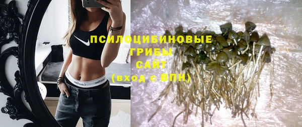 spice Алзамай