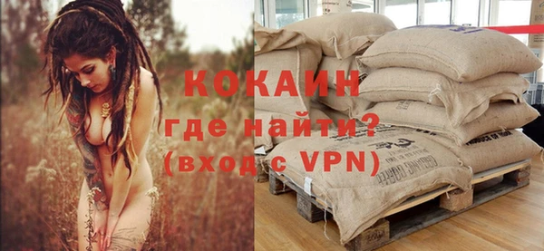 spice Алзамай