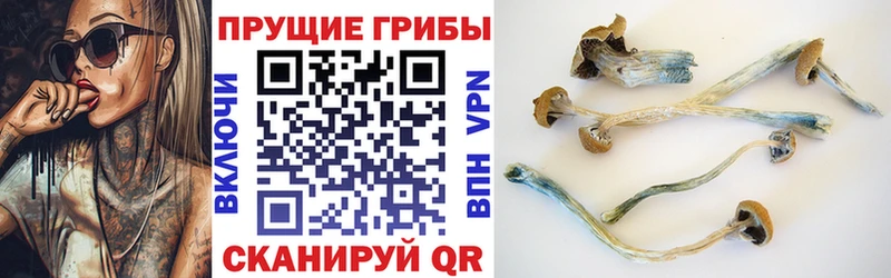 Галлюциногенные грибы мицелий  Егорьевск 